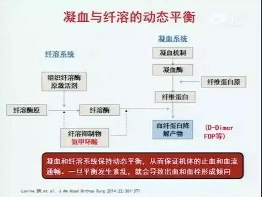 水蛭素，新型冠狀病毒。肺炎