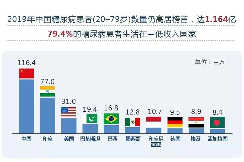 水蛭素、血糖、糖尿病