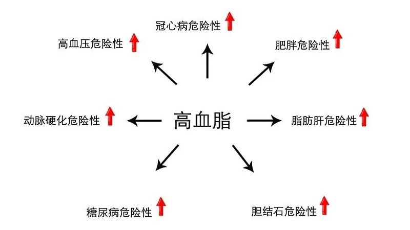 水蛭素、血脂高、血脂異常